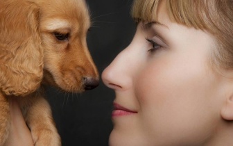 市面上感冒药这么多该如何选择？