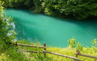 《阿甘正传》：奔跑中绽放的平凡史诗