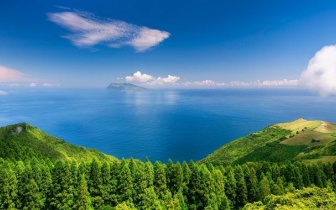 植物奶是否可以代替牛奶？