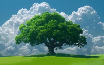 为什么说恋爱中的女人很傻吗？