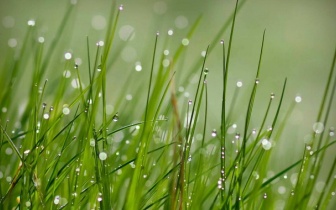 鸡蛋每天吃多少个合适？