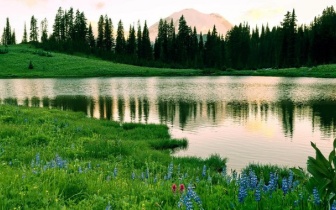 血色羁绊与绝境抗争：《鬼灭之刃 剧场版 无限城篇 第一章》的燃魂史诗